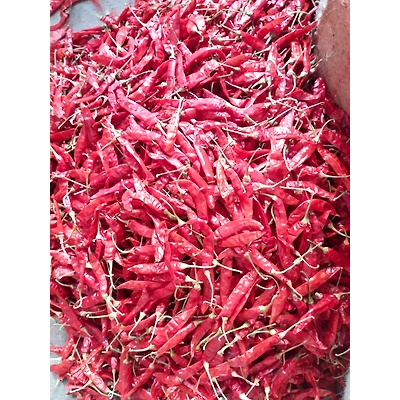 Dried Red Chilly-1