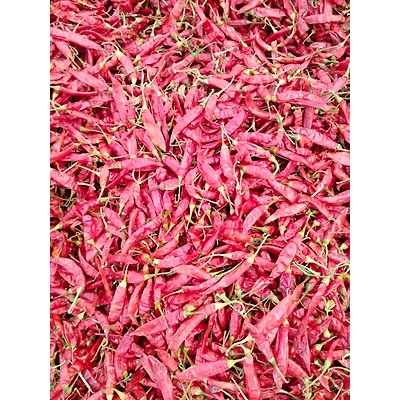 Dried Red Chilly-2