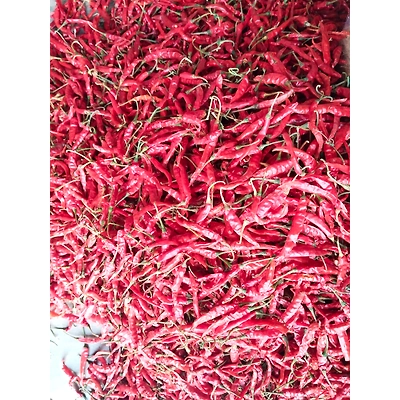 Dried Red Chilly-4
