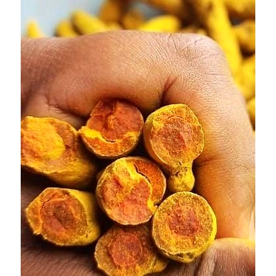 Turmeric Finger-1