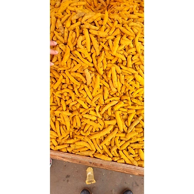 Turmeric Finger-2