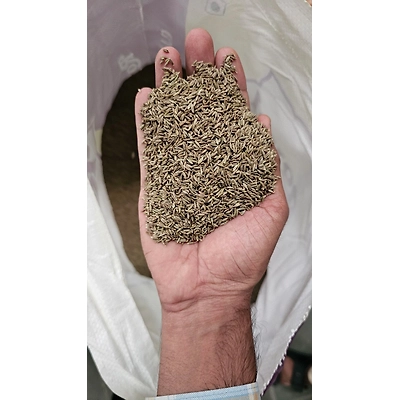 CUMIN SEEDS-4