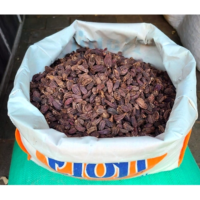 Black Cardamom-2