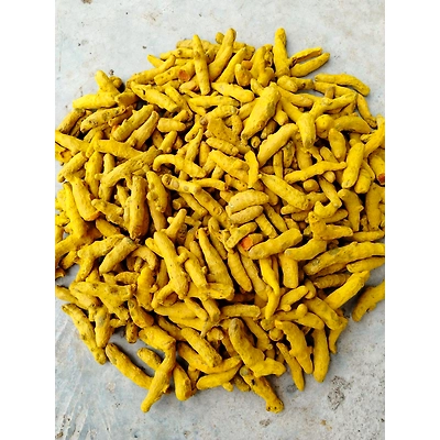 Turmeric Finger-3