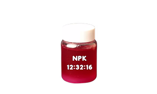 NPK 12:32:16 GEL