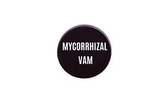 Mycorrhizal VAM Enzymatic Carrier Base