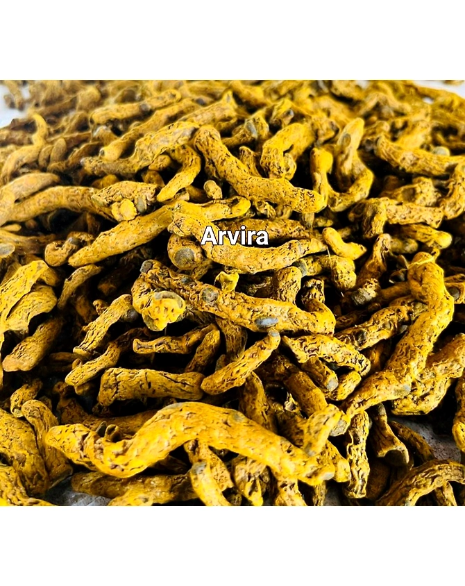 CURCUMA LONGA/TURMERIC-5