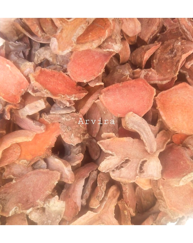 CURCUMA LONGA/TURMERIC-12098236
