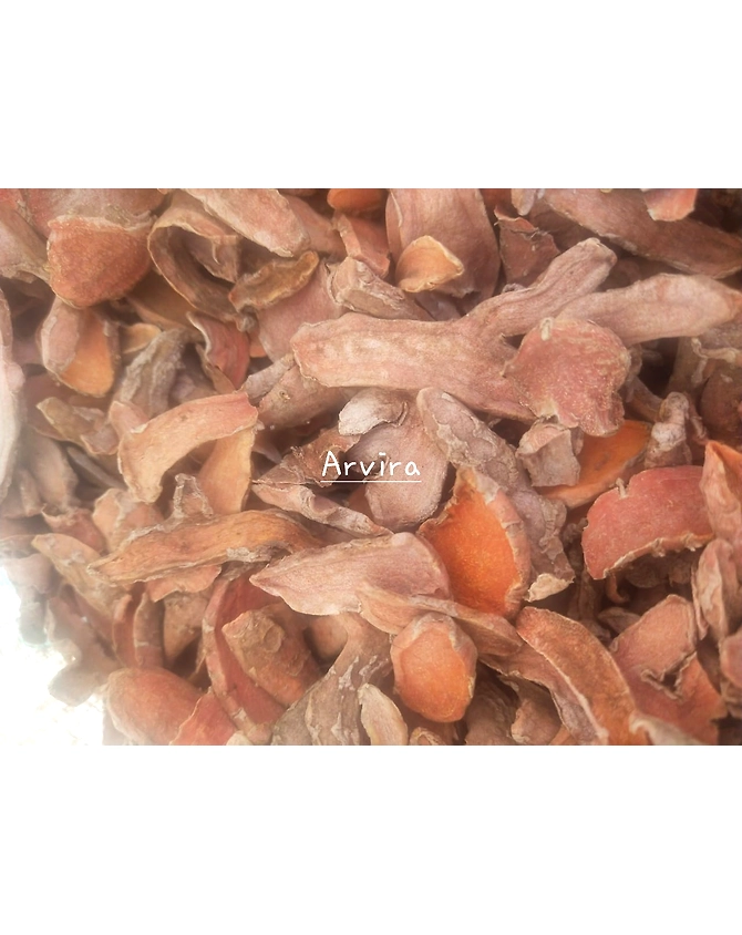 CURCUMA LONGA/TURMERIC-1