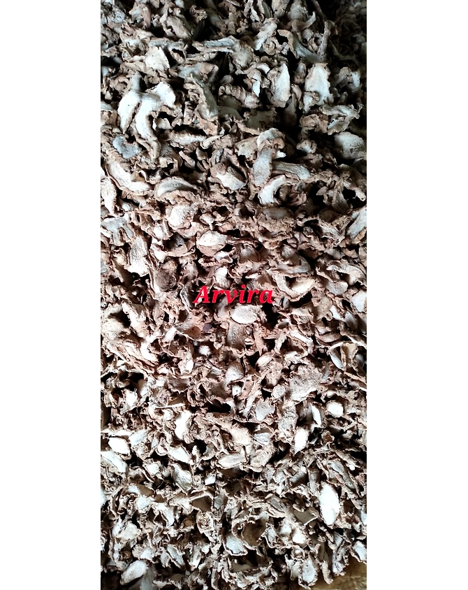 DRY GINGER-1