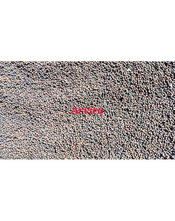 BLACK PEPPER-3