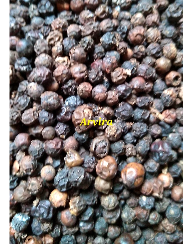 BLACK PEPPER-2