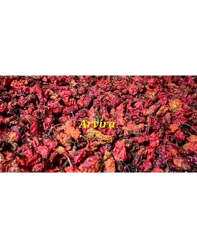 KING CHILLY/GHOST PEPPER-3