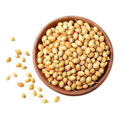 Coriander seed-11917206