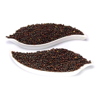 MUSTARD SEED-12113344