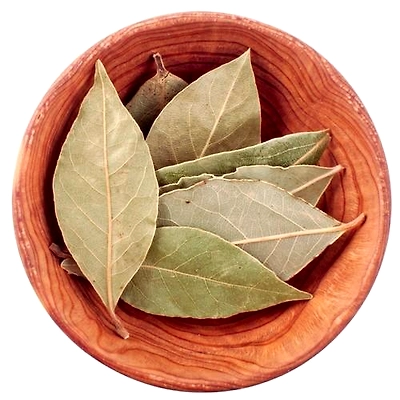 BEY LEAF-12113356