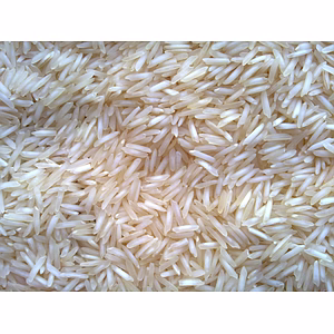 1121 RAW BASMATI RICE
