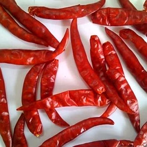 Teja Red Chili Dried