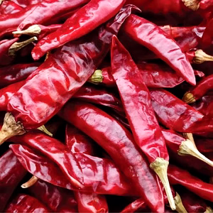 Guntur Red Chilli Dried