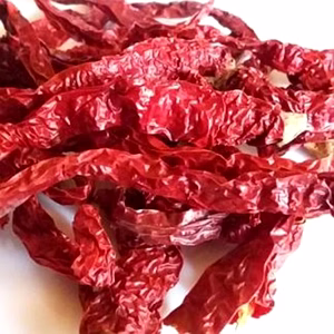 Wrinkle Red Chilli Dried