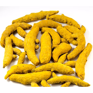 Nizamabad Turmeric Finger