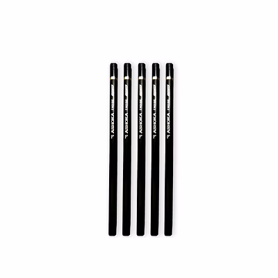 ashoka polymer hb pencil
