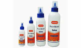 Ashoka Craft Glue