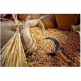 wheat