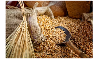 WHEAT