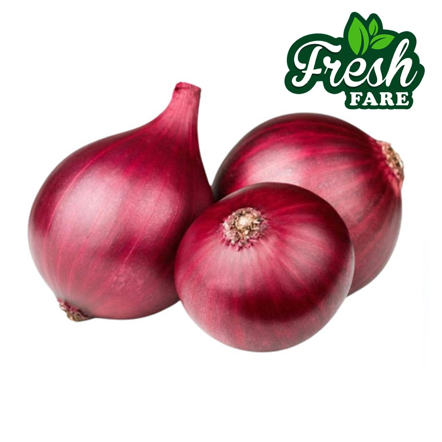 Organic Onion Big-FFONSM000088