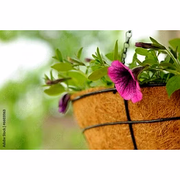 kala sanskruti coir prodcuts private limited coir hanging basket 8 inch