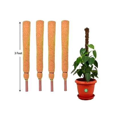 Kala Sanskruti Coir Prodcuts Private Limited Coco Poles 1 Feet