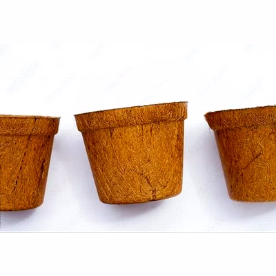 kala sanskruti coir prodcuts private limited coco pots 10 inches