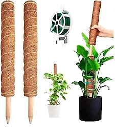 Kala Sanskruti Coir Prodcuts Private Limited Coco Poles 3 Feet