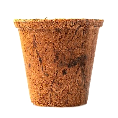 Kala Sanskruti Coir Prodcuts Private Limited Coco Pots 8 Inches