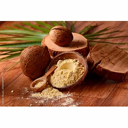 kala sanskruti coir prodcuts private limited coconutshell cooking spoon set(5 piece)