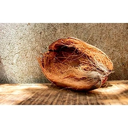 Kala Sanskruti Coir Prodcuts Private Limited Coir Fibre Product