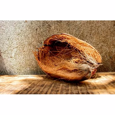 kala sanskruti coir prodcuts private limited coir fibre product