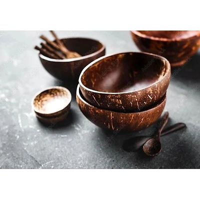 Kala Sanskruti Coir Prodcuts Private Limited Coconut Shell Medium(500ML) Bowls