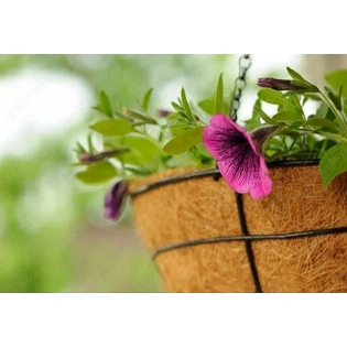 Coir Hanging Basket 14 Inch