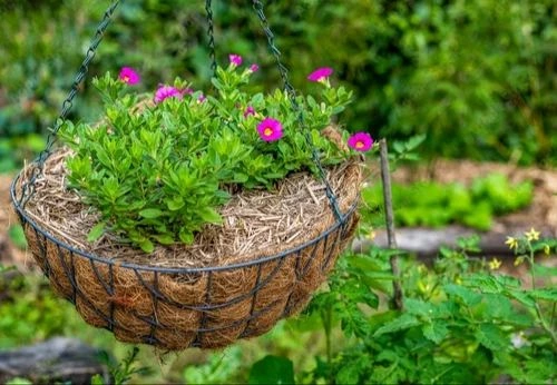 Coir Hanging Basket 10 Inch-Ka1050