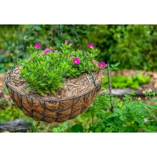 Conical Basket 5 Inches