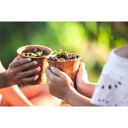 Kala Sanskruti Coir Prodcuts Private Limited Coco Pots 6 Inches