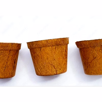 kala sanskruti coir prodcuts private limited coco pots 12 inches
