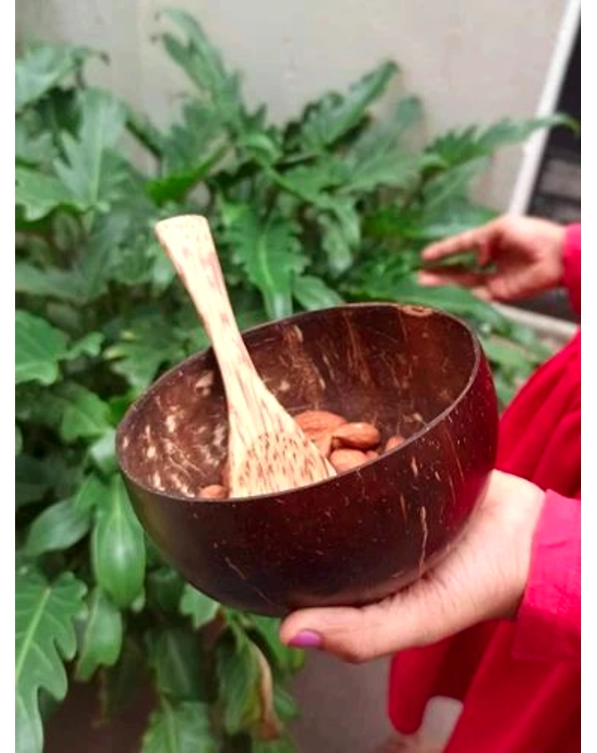 Coconutshell Cutleries Laddle-2