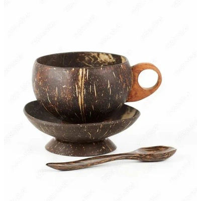 Coconut Shells Tea Cups