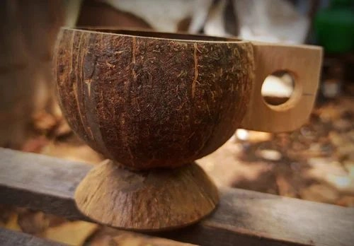 Coconut Shells Tea Cups-1