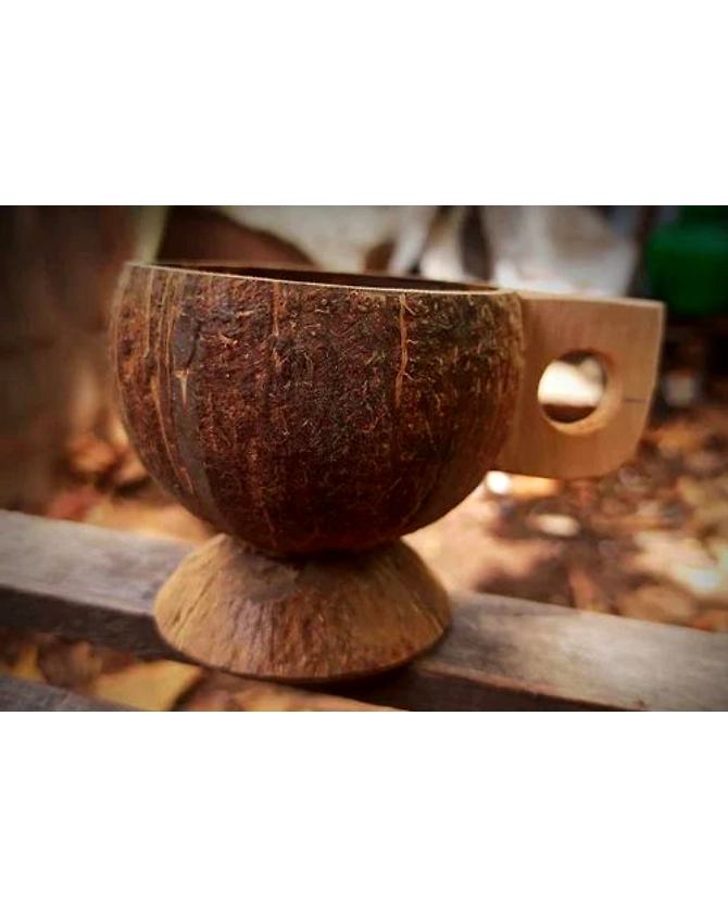 Coconut Shells Tea Cups-1