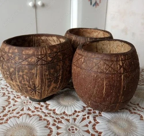 CoconutShells Juice Cups-1