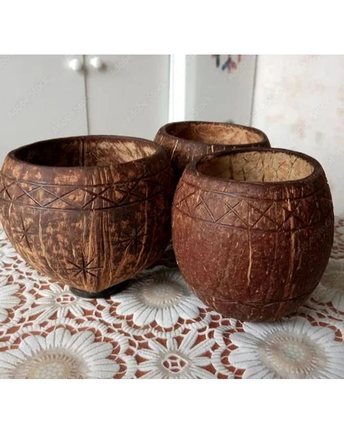CoconutShells Juice Cups-1